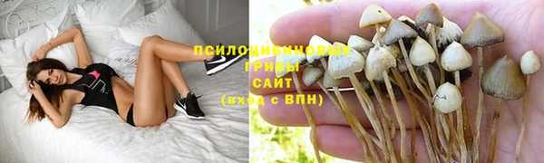 соль курить ск Зеленокумск